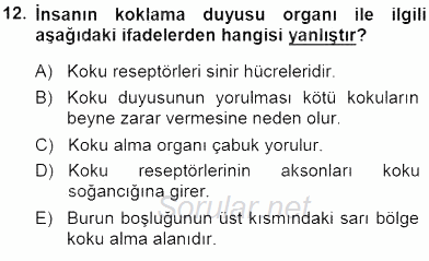Tıbbi Terminoloji 2014 - 2015 Ara Sınavı 12.Soru