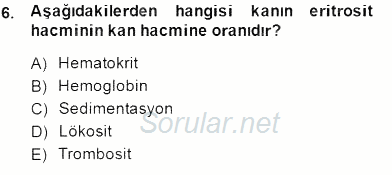 Tıbbi Terminoloji 2014 - 2015 Ara Sınavı 6.Soru