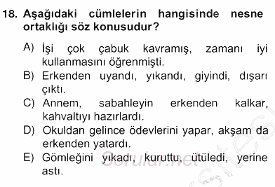 Türkçe Cümle Bilgisi 2 2012 - 2013 Ara Sınavı 18.Soru