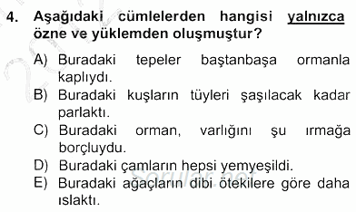 Türkçe Cümle Bilgisi 2 2012 - 2013 Ara Sınavı 4.Soru