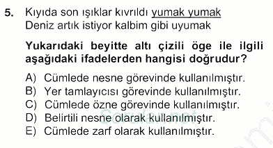 Türkçe Cümle Bilgisi 2 2012 - 2013 Ara Sınavı 5.Soru