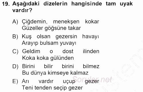 Halk Edebiyatına Giriş 1 2012 - 2013 Ara Sınavı 19.Soru