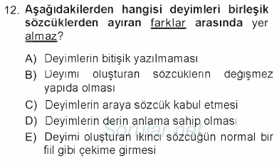 Türk Dili 1 2012 - 2013 Tek Ders Sınavı 12.Soru