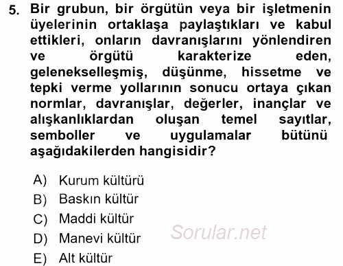 Kurum Kültürü 2016 - 2017 Ara Sınavı 5.Soru