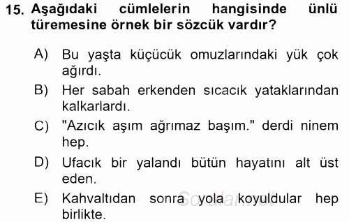 Türk Dili 1 2016 - 2017 Ara Sınavı 15.Soru
