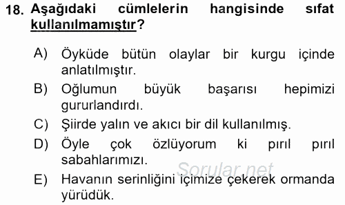 Türk Dili 1 2016 - 2017 Ara Sınavı 18.Soru