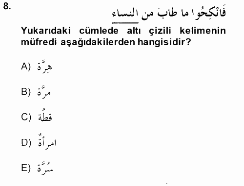 Arapça 4 2014 - 2015 Tek Ders Sınavı 8.Soru
