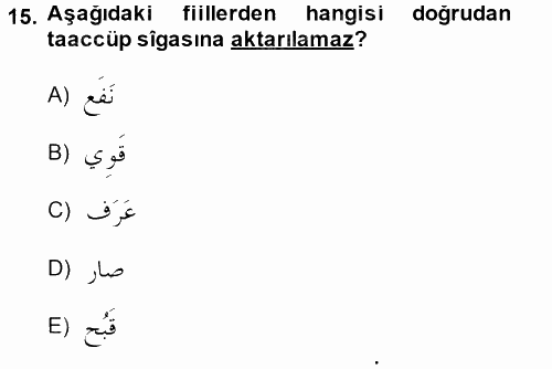 Arapça 4 2014 - 2015 Tek Ders Sınavı 15.Soru