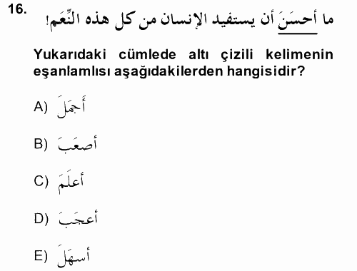 Arapça 4 2014 - 2015 Tek Ders Sınavı 16.Soru