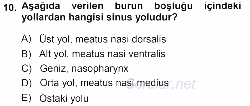 Temel Veteriner Anatomi 2013 - 2014 Tek Ders Sınavı 10.Soru