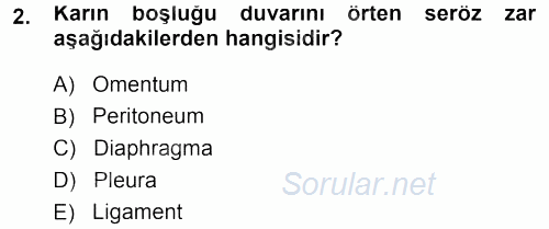 Temel Veteriner Anatomi 2013 - 2014 Tek Ders Sınavı 2.Soru