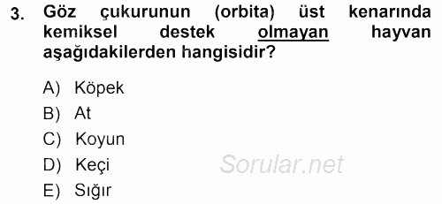 Temel Veteriner Anatomi 2013 - 2014 Tek Ders Sınavı 3.Soru
