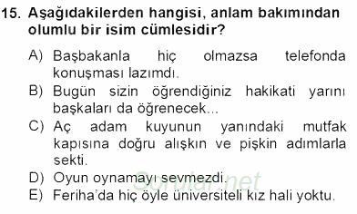 Türkçe Cümle Bilgisi 2 2012 - 2013 Dönem Sonu Sınavı 15.Soru