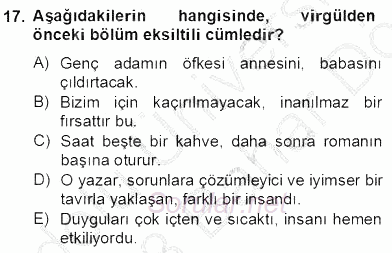 Türkçe Cümle Bilgisi 2 2012 - 2013 Dönem Sonu Sınavı 17.Soru
