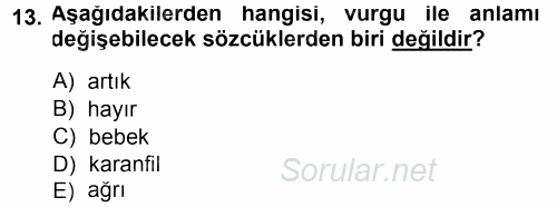Türkçe Ses Bilgisi 2014 - 2015 Ara Sınavı 13.Soru