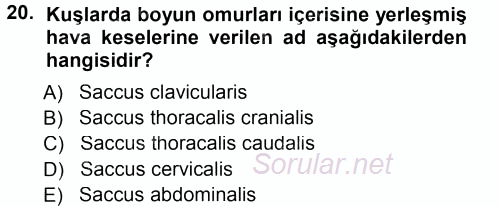 Temel Veteriner Anatomi 2014 - 2015 Tek Ders Sınavı 20.Soru