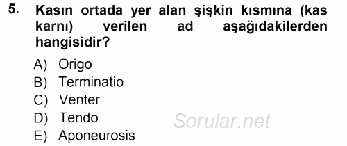 Temel Veteriner Anatomi 2014 - 2015 Tek Ders Sınavı 5.Soru