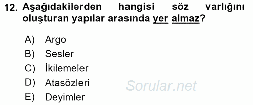 Türk Dili 1 2015 - 2016 Tek Ders Sınavı 12.Soru