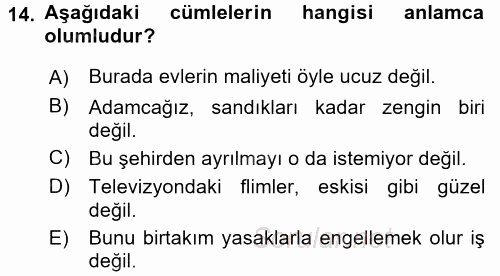 Türk Dili 1 2015 - 2016 Tek Ders Sınavı 14.Soru