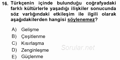 Türk Dili 1 2015 - 2016 Tek Ders Sınavı 16.Soru