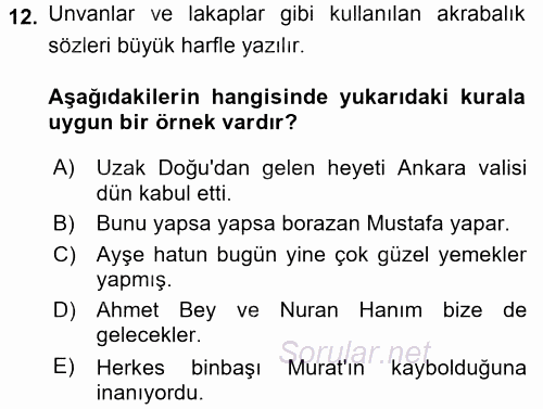Türk Dili 2 2015 - 2016 Ara Sınavı 12.Soru