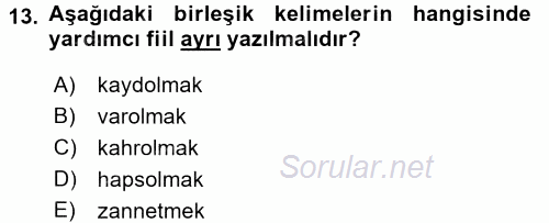 Türk Dili 2 2015 - 2016 Ara Sınavı 13.Soru