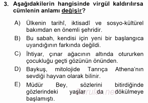 Türk Dili 2 2015 - 2016 Ara Sınavı 3.Soru