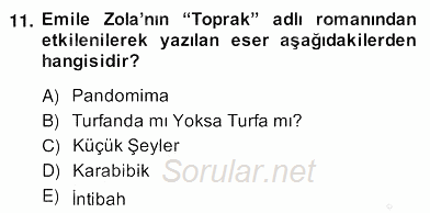 Tanzimat Dönemi Türk Edebiyatı 2 2013 - 2014 Ara Sınavı 11.Soru