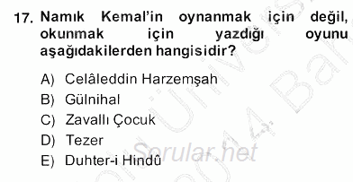 Tanzimat Dönemi Türk Edebiyatı 2 2013 - 2014 Ara Sınavı 17.Soru