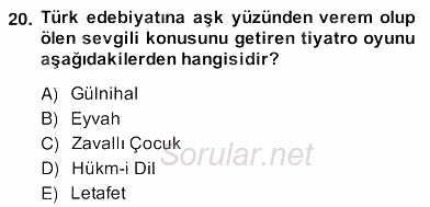 Tanzimat Dönemi Türk Edebiyatı 2 2013 - 2014 Ara Sınavı 20.Soru