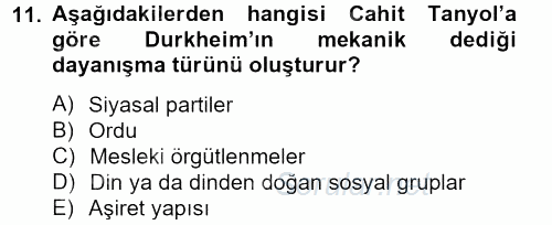 Türk Sosyologları 2012 - 2013 Dönem Sonu Sınavı 11.Soru