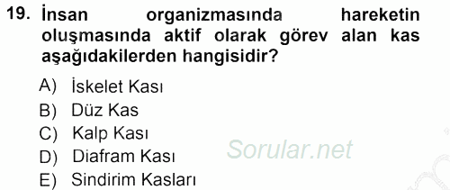 Spor Bilimlerine Giriş 2012 - 2013 Ara Sınavı 19.Soru