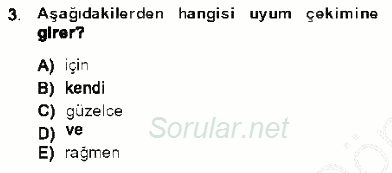 Genel Dilbilim 1 2013 - 2014 Dönem Sonu Sınavı 3.Soru