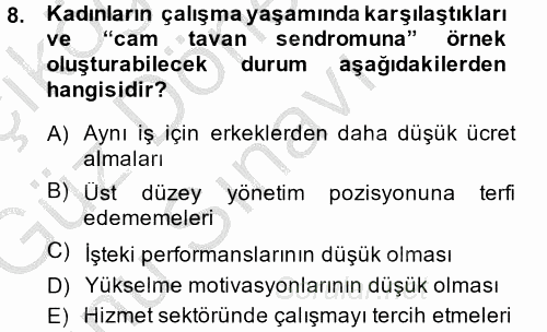 Performans ve Kariyer Yönetimi 2014 - 2015 Dönem Sonu Sınavı 8.Soru