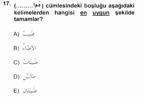 Arapça 1 2012 - 2013 Ara Sınavı 17.Soru