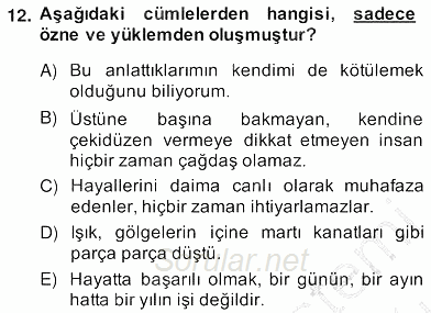 Türkçe Cümle Bilgisi 2 2013 - 2014 Ara Sınavı 12.Soru