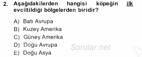 Temel Zootekni 2014 - 2015 Dönem Sonu Sınavı 2.Soru
