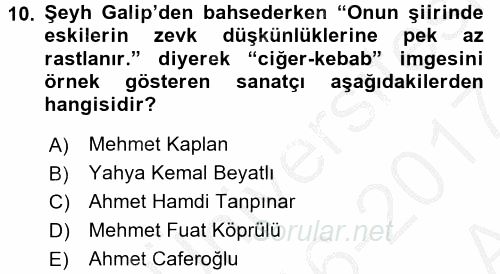 XIX. Yüzyıl Türk Edebiyatı 2016 - 2017 Ara Sınavı 10.Soru