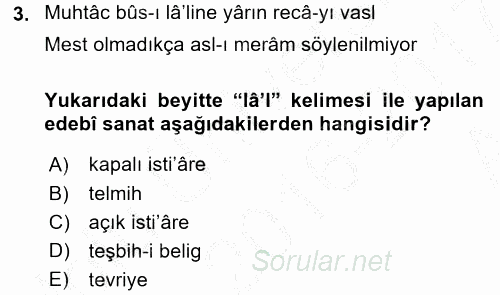 XIX. Yüzyıl Türk Edebiyatı 2016 - 2017 Ara Sınavı 3.Soru