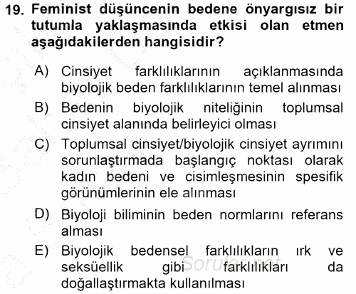 Toplumsal Cinsiyet Çalışmaları 2016 - 2017 Ara Sınavı 19.Soru