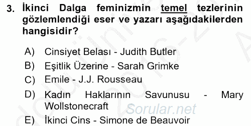 Toplumsal Cinsiyet Çalışmaları 2016 - 2017 Ara Sınavı 3.Soru