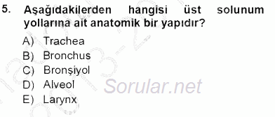 Tıbbi Terminoloji 2013 - 2014 Tek Ders Sınavı 5.Soru