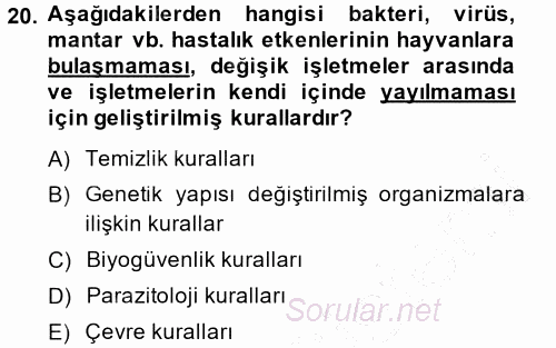 Temel Zootekni 2014 - 2015 Ara Sınavı 20.Soru
