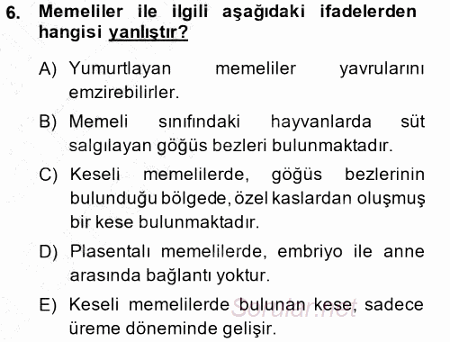 Temel Zootekni 2014 - 2015 Ara Sınavı 6.Soru