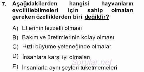 Temel Zootekni 2014 - 2015 Ara Sınavı 7.Soru