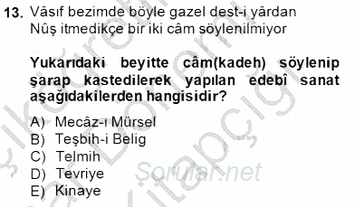 XIX. Yüzyıl Türk Edebiyatı 2014 - 2015 Ara Sınavı 13.Soru