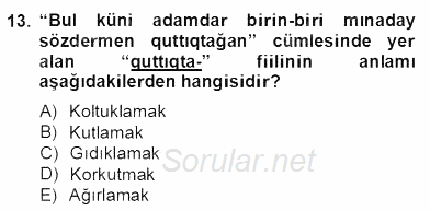 Çağdaş Türk Yazı Dilleri 2 2012 - 2013 Dönem Sonu Sınavı 13.Soru