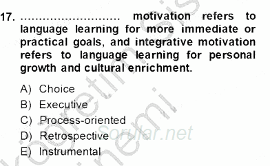 Dil Edinimi 2014 - 2015 Ara Sınavı 17.Soru