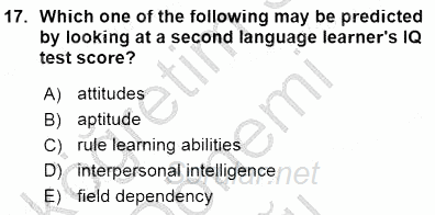 Dil Edinimi 2015 - 2016 Ara Sınavı 17.Soru