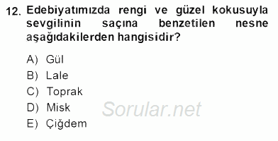 Türk Edebiyatının Mitolojik Kaynakları 2014 - 2015 Dönem Sonu Sınavı 12.Soru